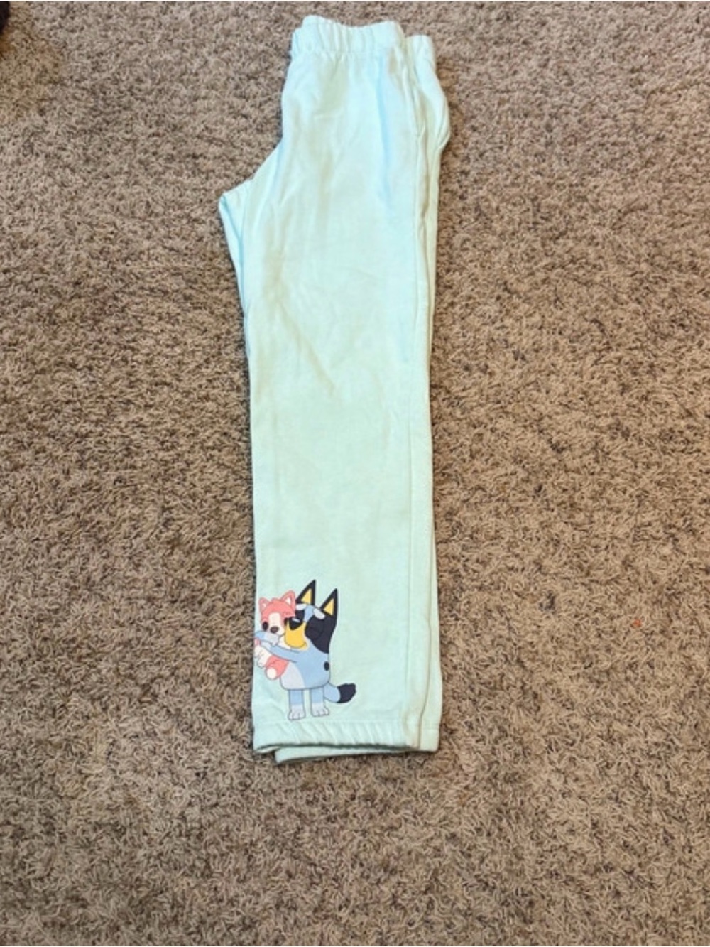 Kids Mint Green Lounge Pants with Playful Puppy Graphic